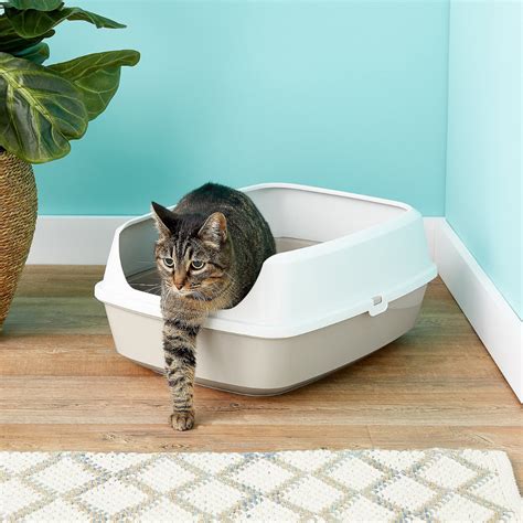 The Health Benefits of Using Magic Cat Litter Boxes